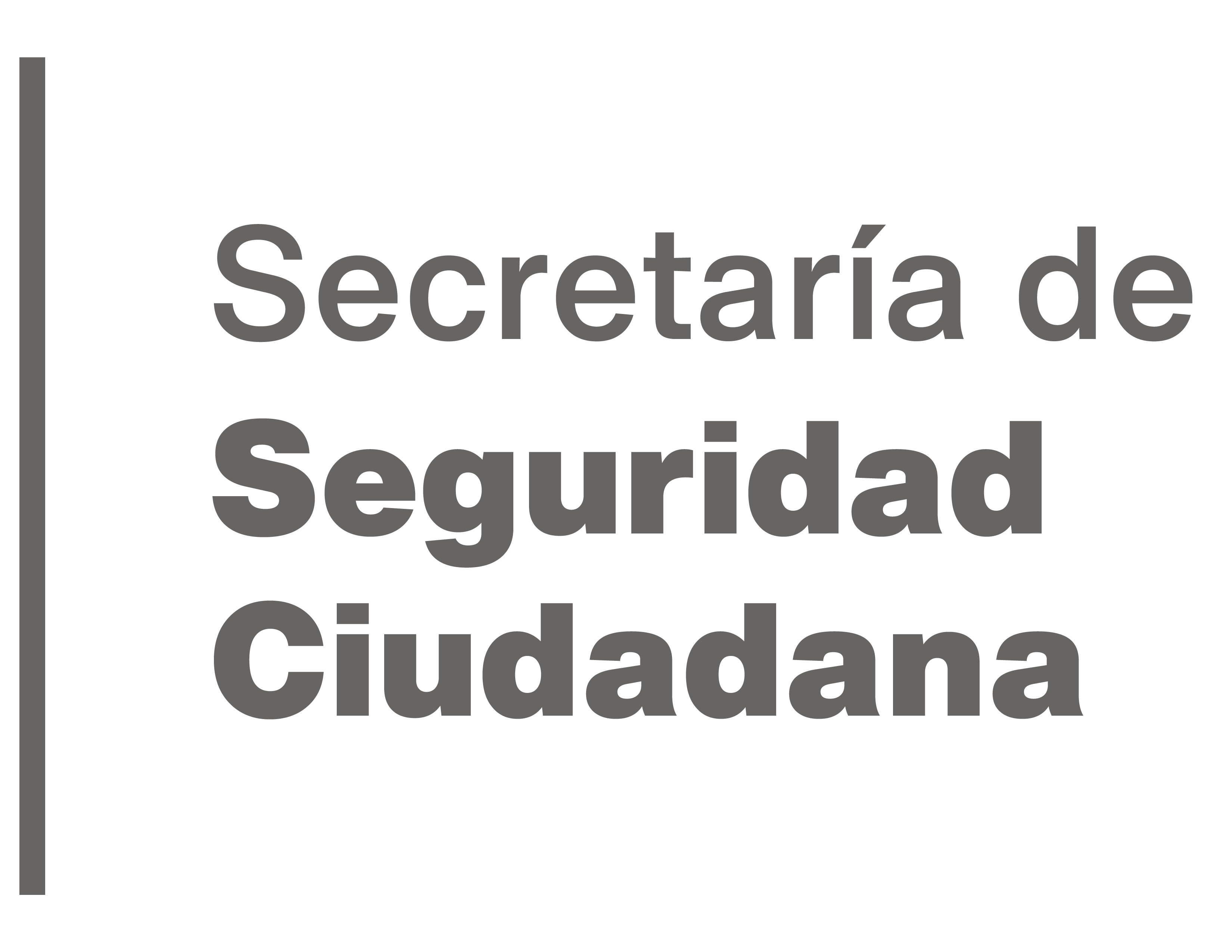 Secretaría de Seguridad Ciudadana